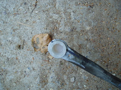 P1010036.JPG