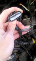 IMG-20171209-WA0007.jpeg