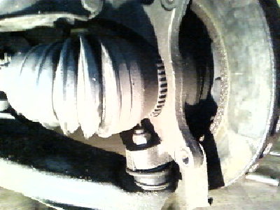 SP_A0081.jpg