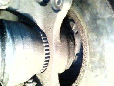 SP_A0082.jpg