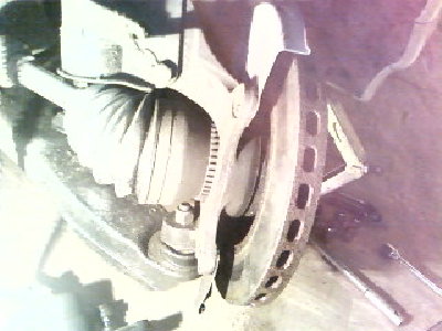 SP_A0083.jpg