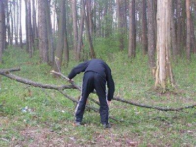 добыча дров.JPG