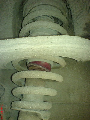 DSC00010_resize.JPG