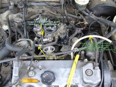 P5.jpg