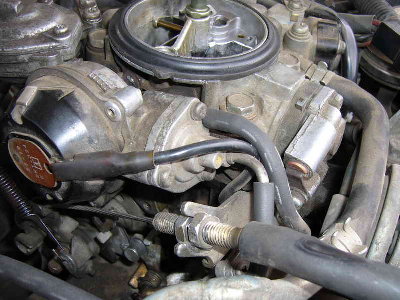 P4.jpg