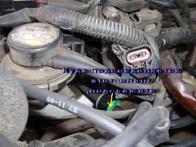 P3.jpg