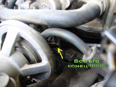 P2.jpg