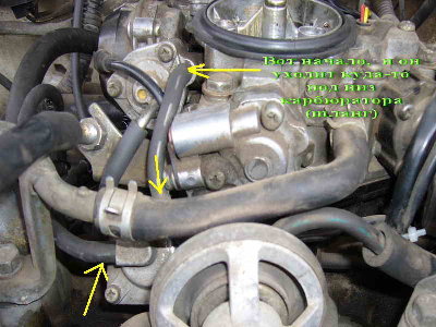 P1.jpg