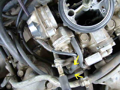 P6.jpg