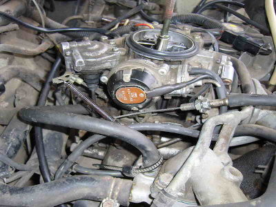 P9.jpg