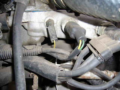 P10.jpg
