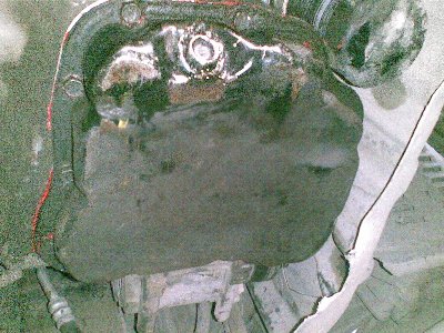 27072008(002).JPG