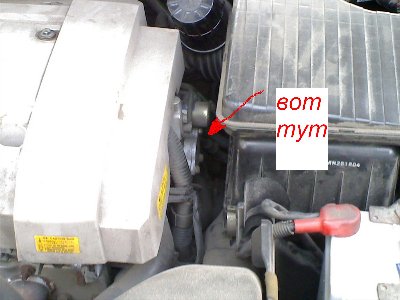 фильтрик.JPG