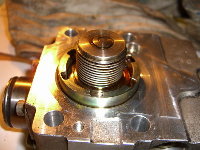 CIMG2209_resize.JPG