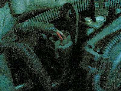 23012006.jpg