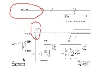 7777.JPG