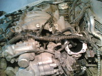 03112009.jpg