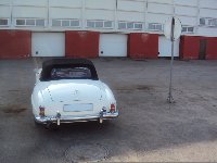 DSC00398_800.jpg