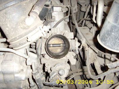 STA40038.JPG