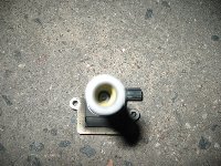 IMG_0665.jpg