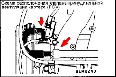 Image1.jpg