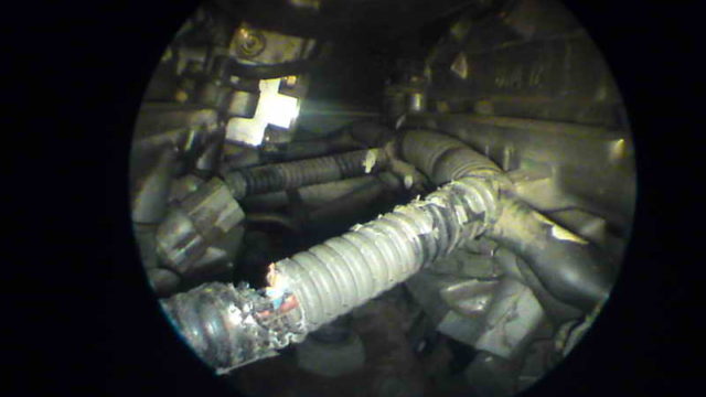 Проводка и крысы в 6G74GDI
